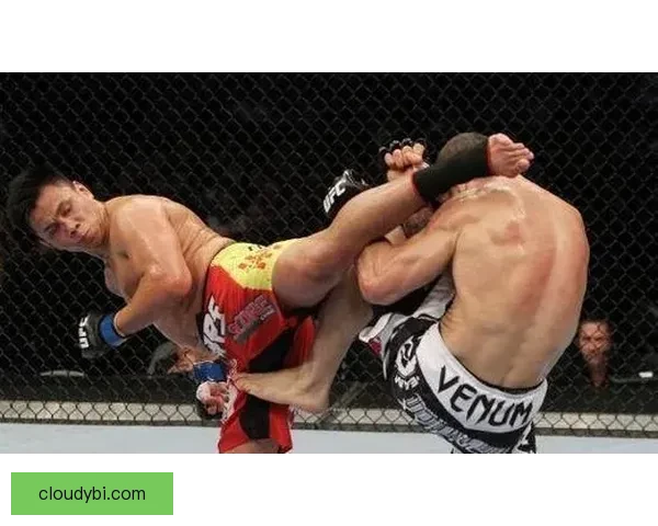 康李与那顺格日勒交锋背后的历史渊源与文化影响探讨